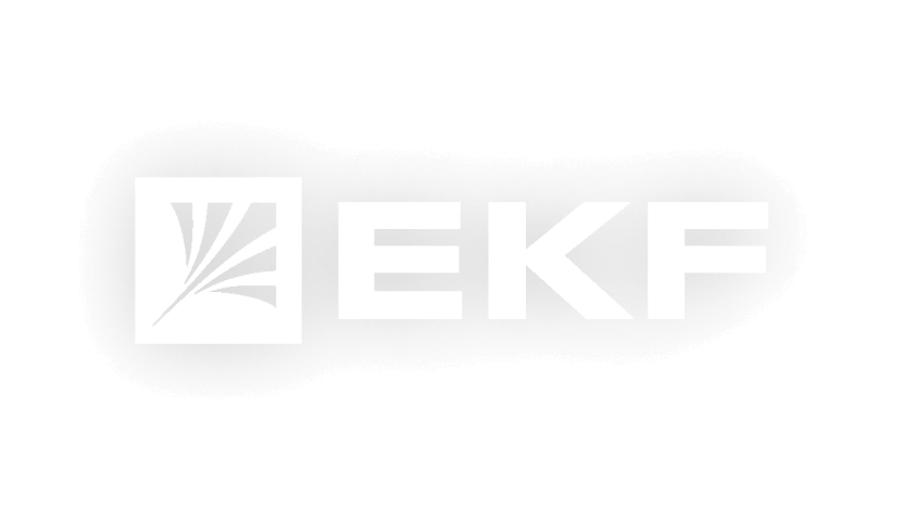 Логотип ekf