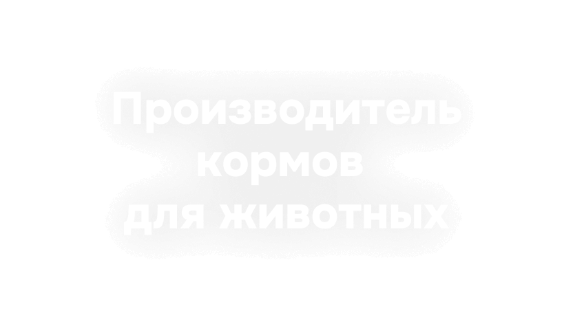 Логотип webit